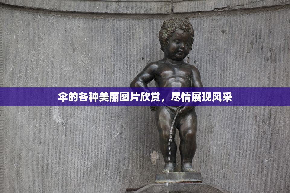 伞的各种美丽图片欣赏，尽情展现风采