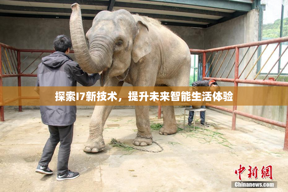 探索I7新技术，提升未来智能生活体验