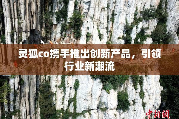 灵狐co携手推出创新产品，引领行业新潮流