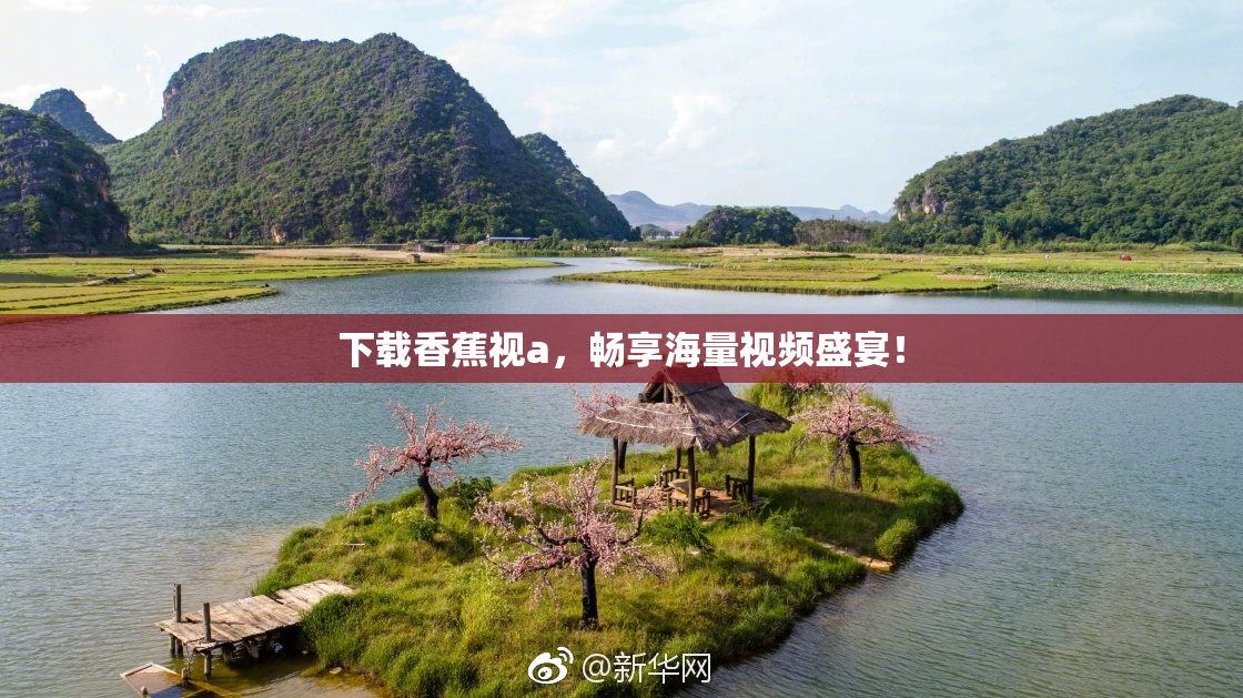 下载香蕉视a，畅享海量视频盛宴！