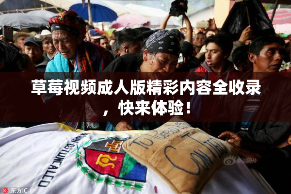 草莓视频成人版精彩内容全收录，快来体验！