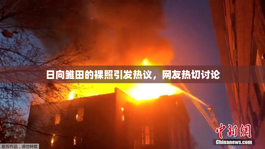 日向雏田的裸照引发热议，网友热切讨论
