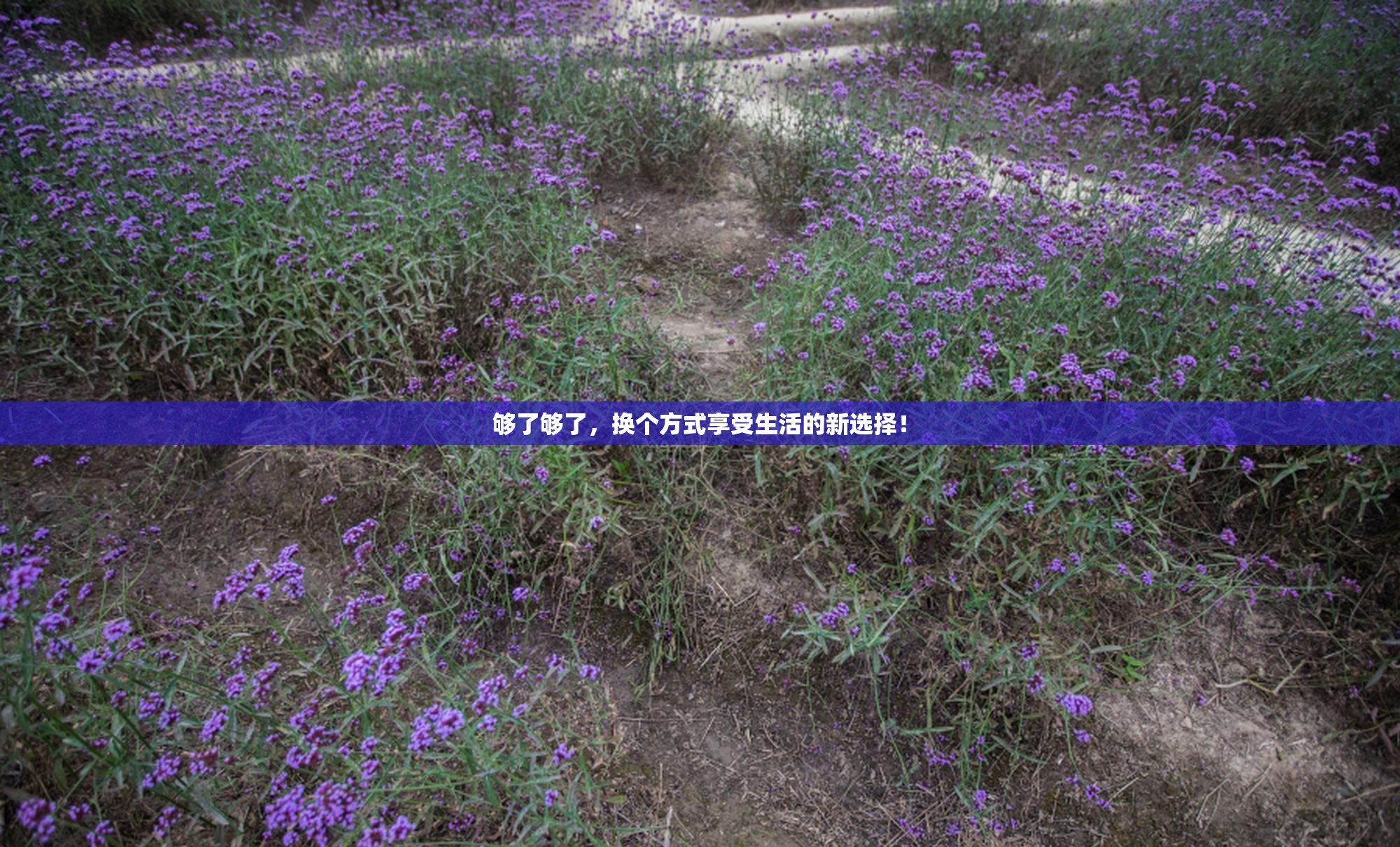 够了够了，换个方式享受生活的新选择！