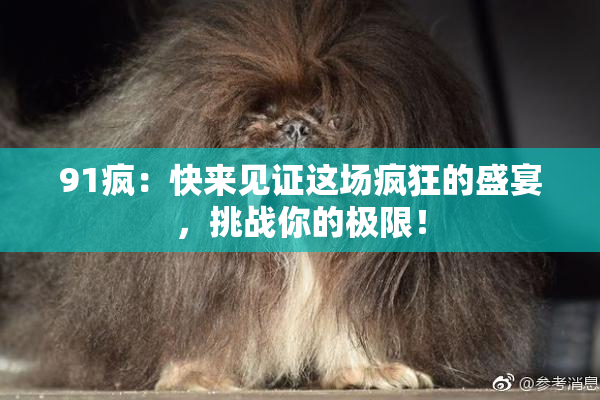 91疯：快来见证这场疯狂的盛宴，挑战你的极限！