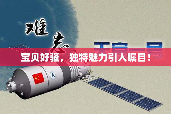 宝贝好骚，独特魅力引人瞩目！