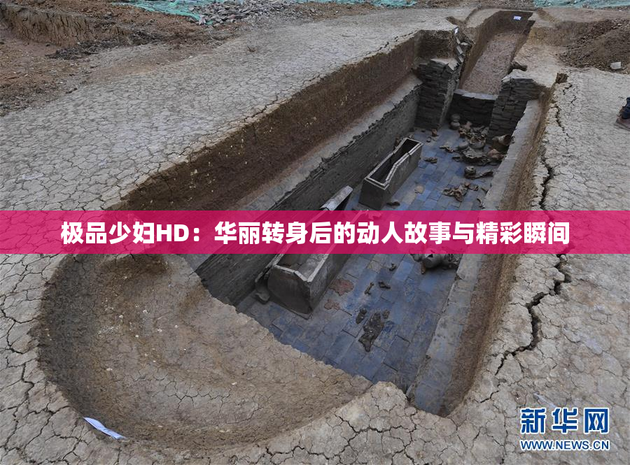 极品少妇HD：华丽转身后的动人故事与精彩瞬间