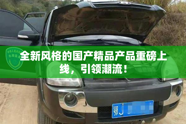 全新风格的国产精品产品重磅上线，引领潮流！