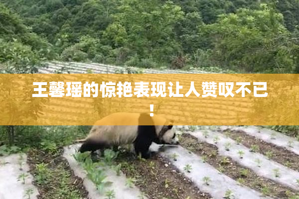 王馨瑶的惊艳表现让人赞叹不已！