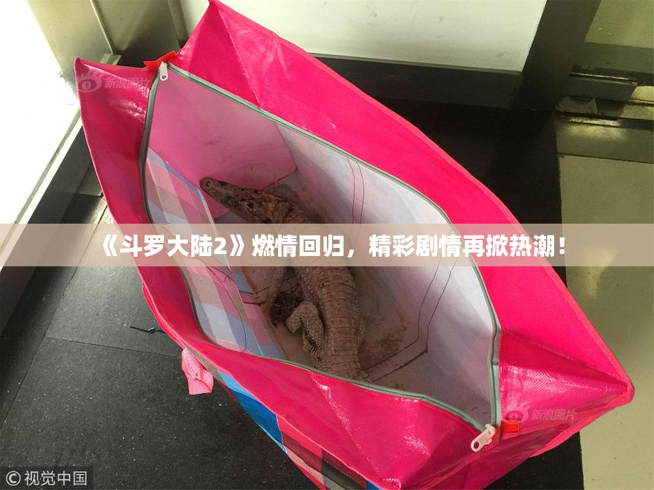 《斗罗大陆2》燃情回归，精彩剧情再掀热潮！