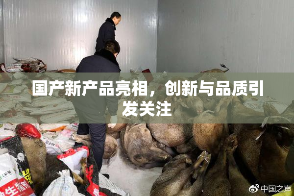 国产新产品亮相，创新与品质引发关注