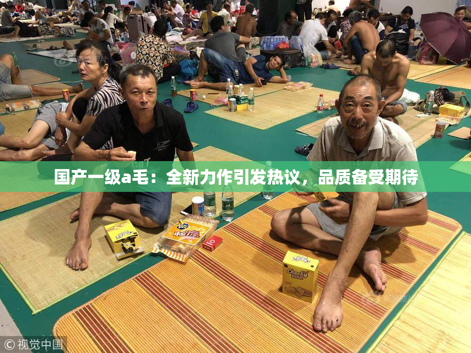 国产一级a毛：全新力作引发热议，品质备受期待