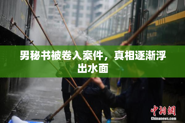男秘书被卷入案件，真相逐渐浮出水面