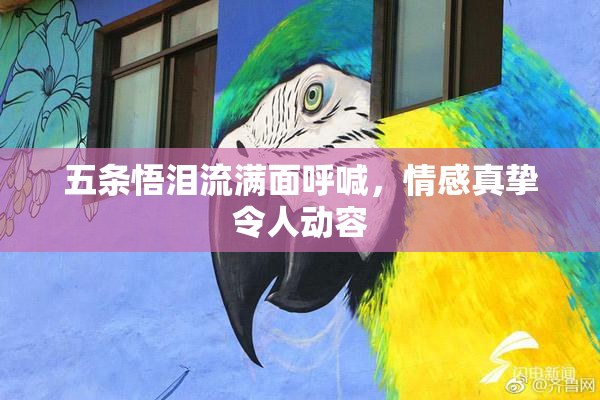 五条悟泪流满面呼喊，情感真挚令人动容