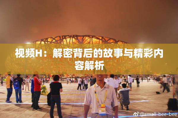 视频H：解密背后的故事与精彩内容解析