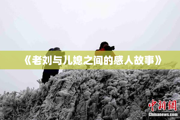 《老刘与儿媳之间的感人故事》