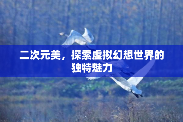 二次元美，探索虚拟幻想世界的独特魅力