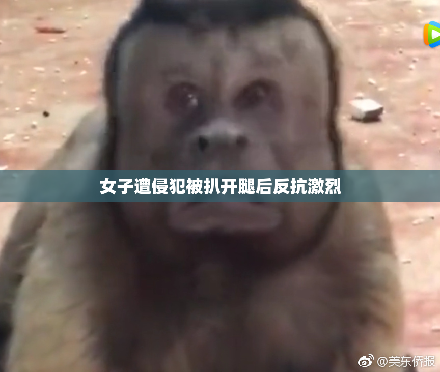 女子遭侵犯被扒开腿后反抗激烈