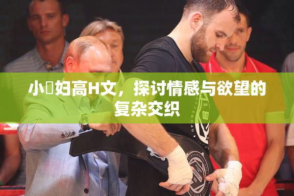 小婬妇高H文，探讨情感与欲望的复杂交织