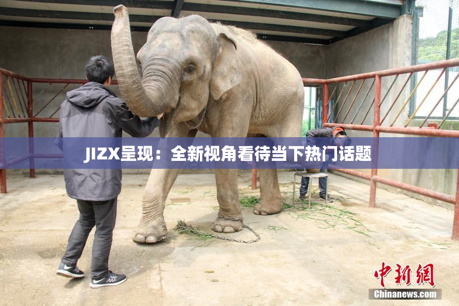 JIZX呈现：全新视角看待当下热门话题