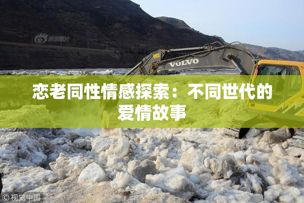 恋老同性情感探索：不同世代的爱情故事