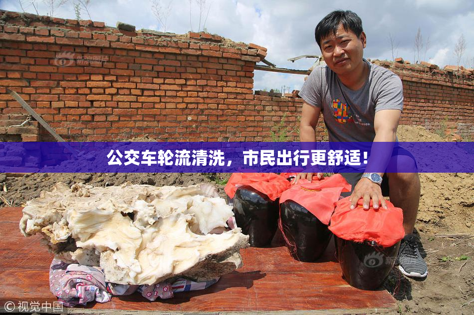 公交车轮流清洗，市民出行更舒适！