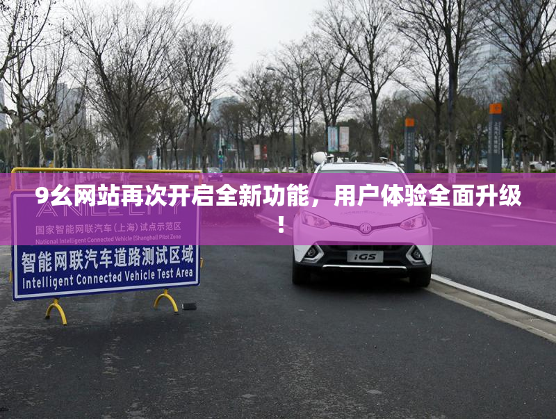 9幺网站再次开启全新功能，用户体验全面升级！