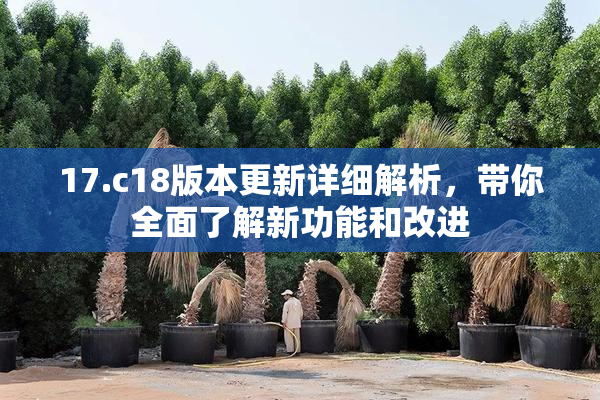 17.c18版本更新详细解析，带你全面了解新功能和改进