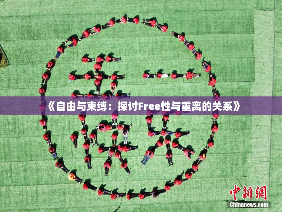 《自由与束缚：探讨Free性与重离的关系》