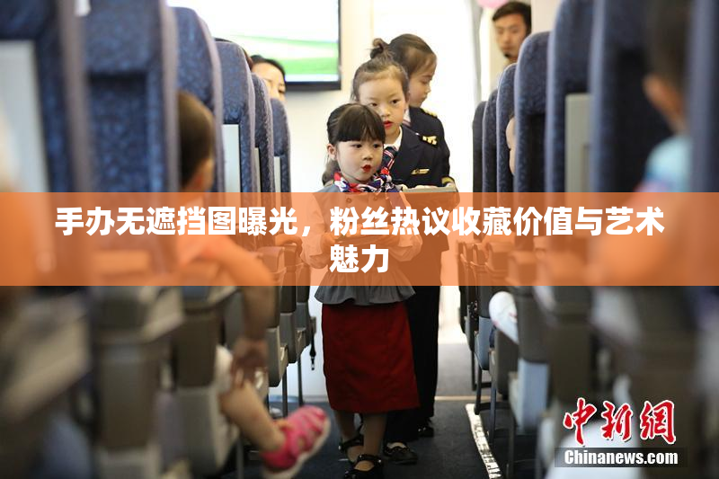 手办无遮挡图曝光，粉丝热议收藏价值与艺术魅力