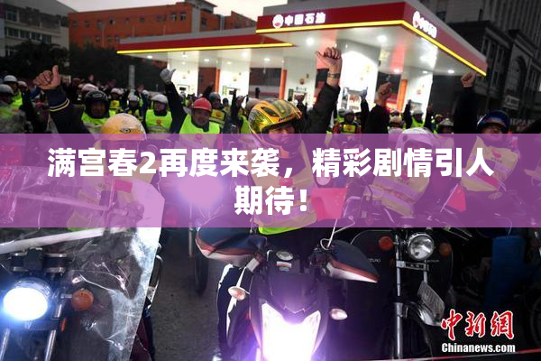 满宫春2再度来袭，精彩剧情引人期待！