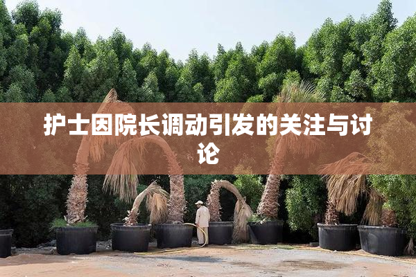 护士因院长调动引发的关注与讨论