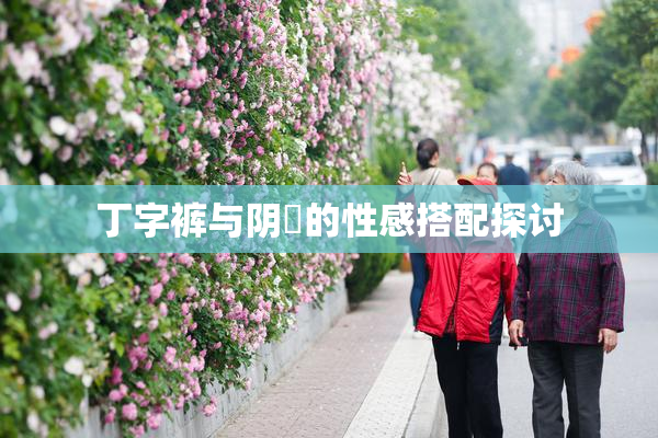 丁字裤与阴脣的性感搭配探讨