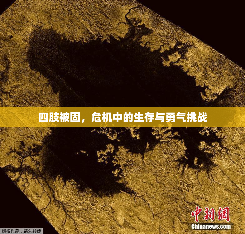 四肢被固，危机中的生存与勇气挑战