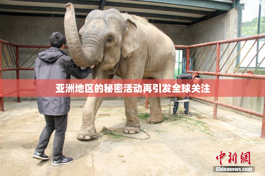 亚洲地区的秘密活动再引发全球关注