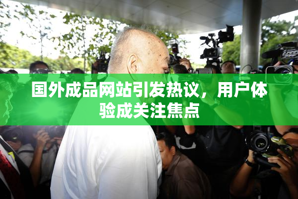 国外成品网站引发热议，用户体验成关注焦点