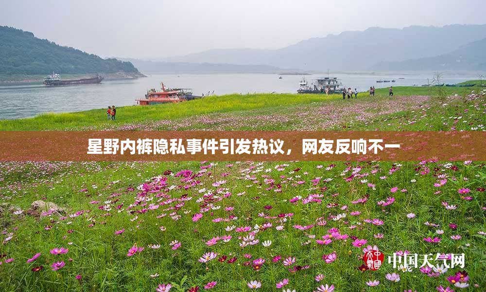 星野内裤隐私事件引发热议，网友反响不一