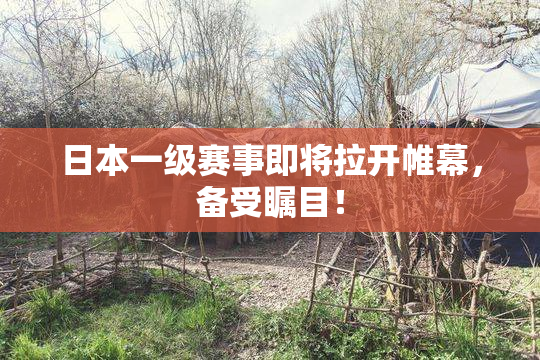 日本一级赛事即将拉开帷幕，备受瞩目！