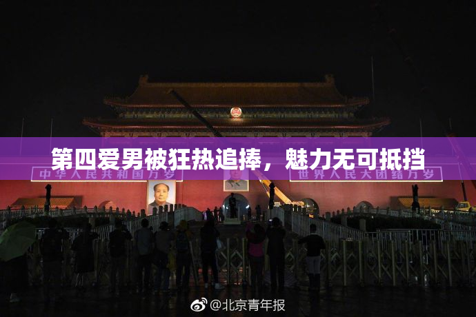 第四爱男被狂热追捧，魅力无可抵挡