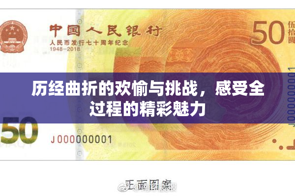 历经曲折的欢愉与挑战，感受全过程的精彩魅力