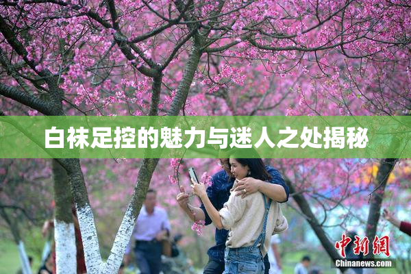 白袜足控的魅力与迷人之处揭秘