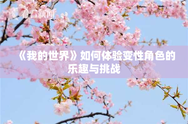 《我的世界》如何体验变性角色的乐趣与挑战
