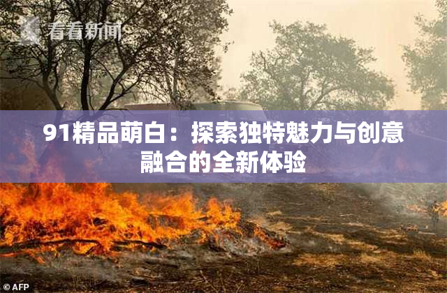 91精品萌白：探索独特魅力与创意融合的全新体验
