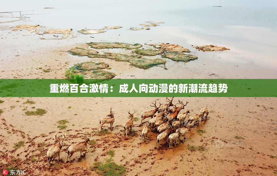 重燃百合激情：成人向动漫的新潮流趋势