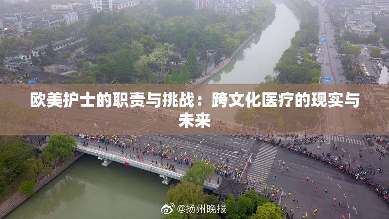欧美护士的职责与挑战：跨文化医疗的现实与未来