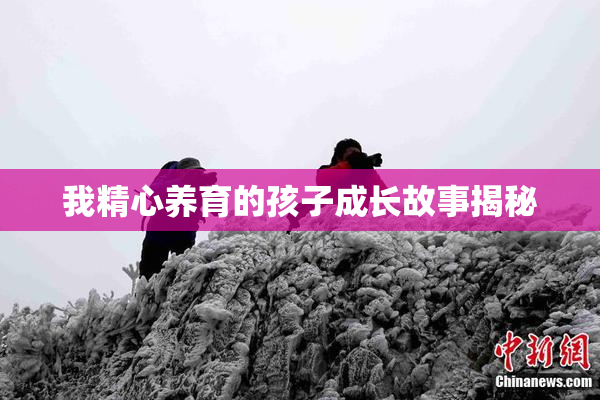 我精心养育的孩子成长故事揭秘