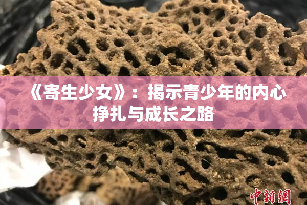《寄生少女》：揭示青少年的内心挣扎与成长之路