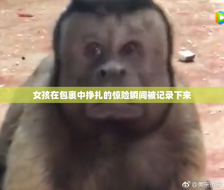 女孩在包裹中挣扎的惊险瞬间被记录下来