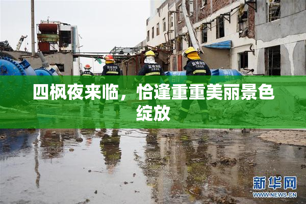 四枫夜来临，恰逢重重美丽景色绽放
