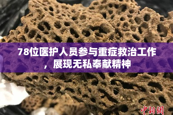 78位医护人员参与重症救治工作，展现无私奉献精神