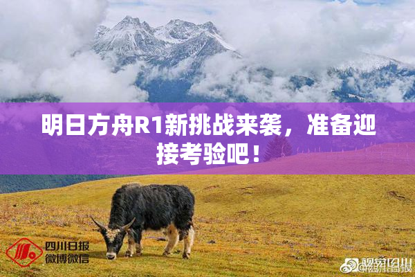 明日方舟R1新挑战来袭，准备迎接考验吧！